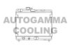 AUTOGAMMA 100303 Radiator, engine cooling